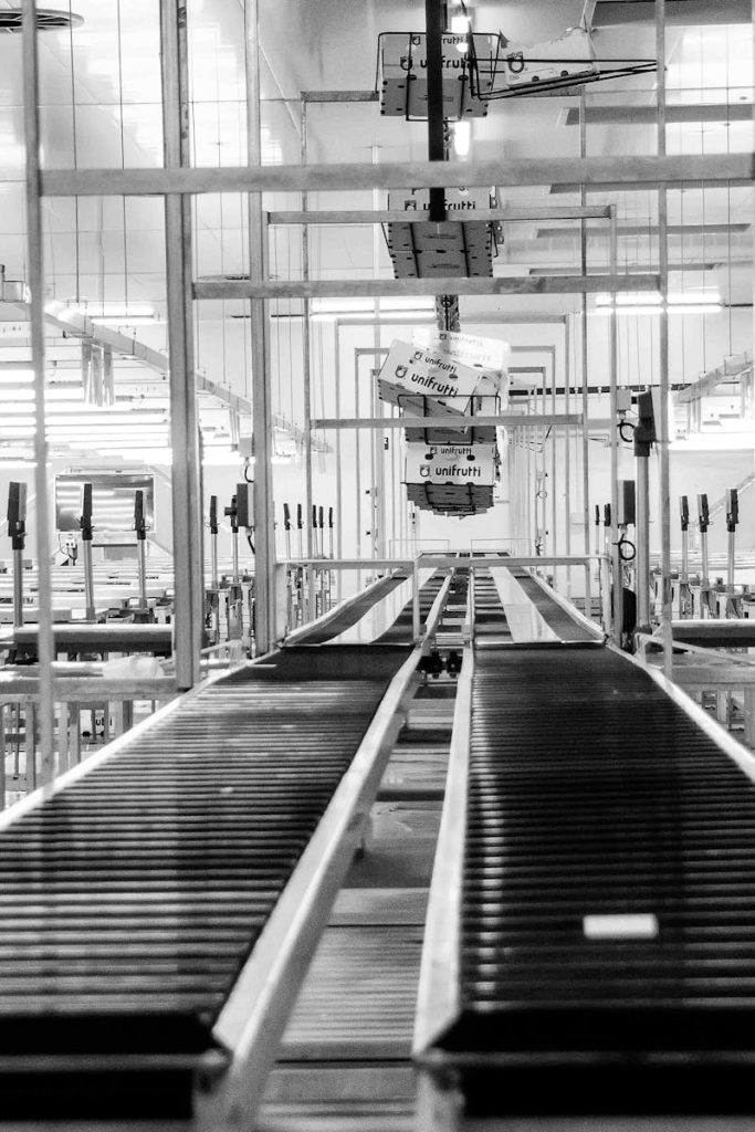 Modern conveyor system in a monochrome industrial factory setting in Redelinghuys, South Africa.